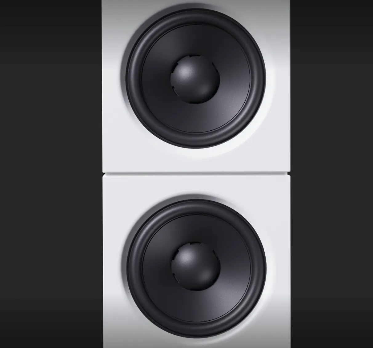 2 Mid-Bass drivers